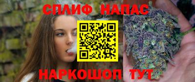 сатива Кинель