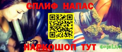 трава Кингисепп