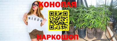 сатива Кинель