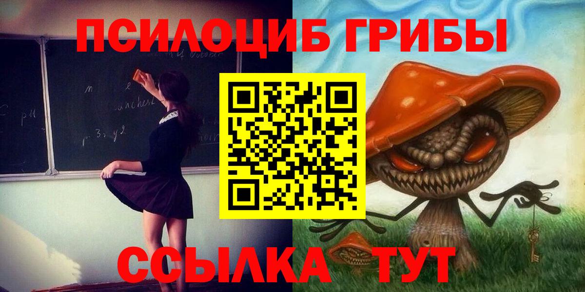 Галлюциногенные грибы прущие грибы Краснодар